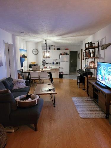Appartement de 1 chambre à louer à Sherbrooke — photo 3
