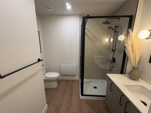Appartement de 2 chambres à louer à Québec - La Cité-Limoilou — photo 10