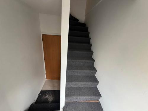 Appartement de 2 chambres à louer à Québec - La Cité-Limoilou — photo 11