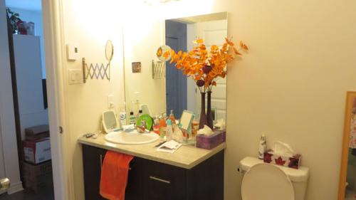 Appartement de 2 chambres à louer à Gatineau — photo 5