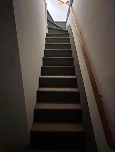 Appartement de 2 chambres à louer à Québec - La Cité-Limoilou — photo 7