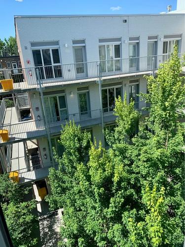 Appartement de 1 chambre à louer à Montreal - Le Plateau-Mont-Royal — photo 16