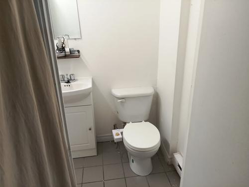Appartement de 1 chambre à louer à Québec - La Cité-Limoilou — photo 3
