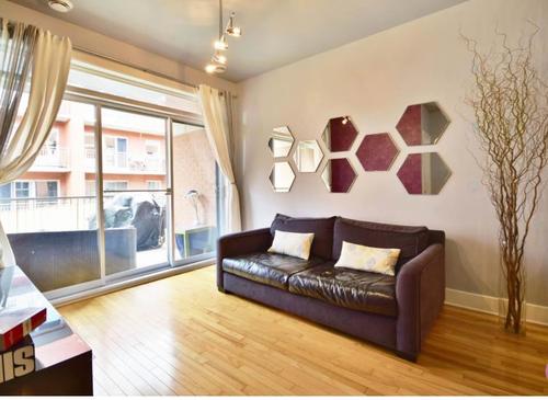 Appartement de 1 chambre à louer à Montreal - Le Plateau-Mont-Royal — photo 5