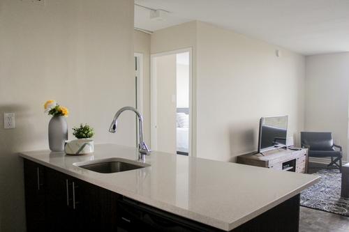 1 bedroom apartment for rent in Montreal - Le Plateau-Mont-Royal — photo 9