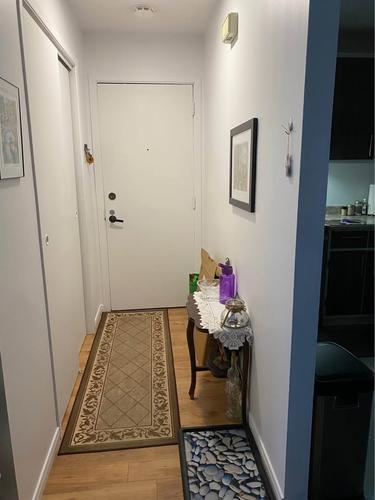 1 bedroom apartment for rent in Lévis — photo 3