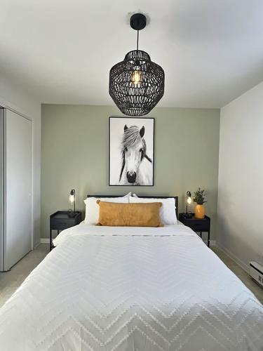 Appartement de 3 chambres à louer à Québec - La Cité-Limoilou — photo 5