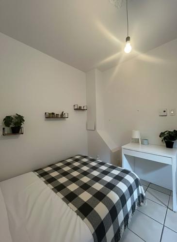 Appartement de 2 chambres à louer à Montreal - Le Plateau-Mont-Royal — photo 19