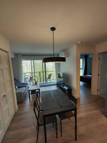 Appartement de 1 chambre à louer à Lévis — photo 2