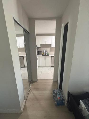1 bedroom apartment for rent in Montreal - Saint-Laurent — photo 14