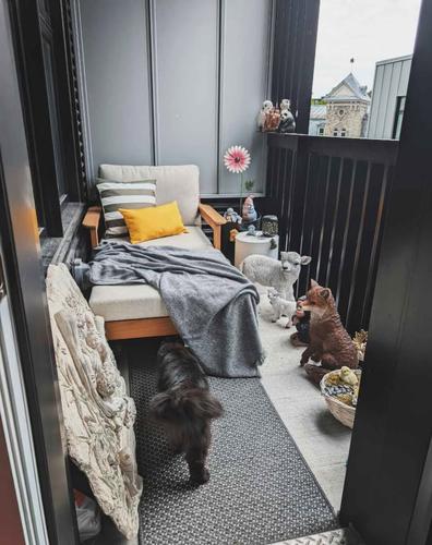 1 bedroom apartment for rent in Québec - La Cité-Limoilou — photo 6
