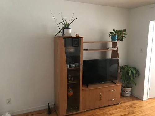 1 bedroom apartment for rent in Montreal - Le Plateau-Mont-Royal — photo 9