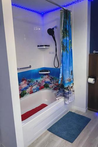 Appartement de 1 chambre à louer à Gatineau — photo 11