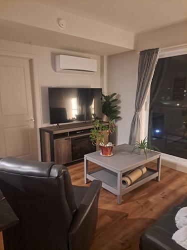 Appartement de 1 chambre à louer à Lévis — photo 15