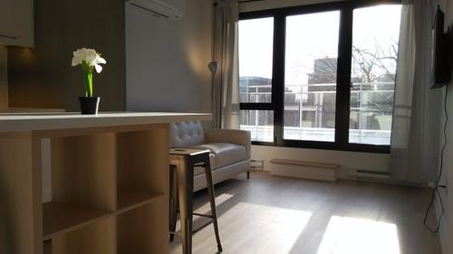 1 bedroom apartment for rent in Montreal - Ville-Marie — photo 3