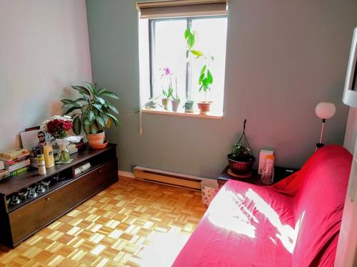 Appartement de 2 chambres à louer à Montreal - Le Plateau-Mont-Royal — photo 10
