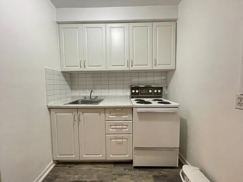 1 bedroom apartment for rent in Montreal - Rosemont–La Petite-Patrie — photo 4