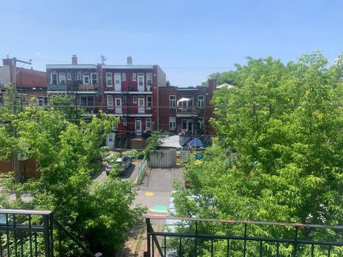 1 bedroom apartment for rent in Montreal - Rosemont–La Petite-Patrie — photo 5