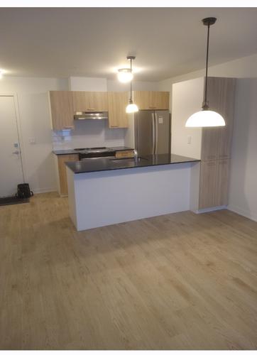 Appartement de 1 chambre à louer à Longueuil — photo 2