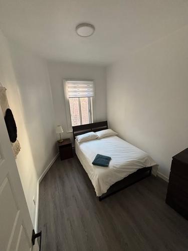 Appartement de 4 chambres à louer à Montreal - Le Plateau-Mont-Royal — photo 15