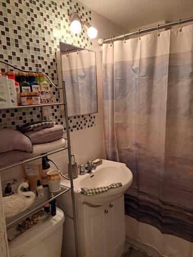 1 bedroom apartment for rent in Montréal — photo 3