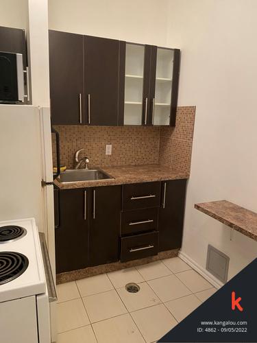 1 bedroom apartment for rent in Montreal - Le Plateau-Mont-Royal — photo 6