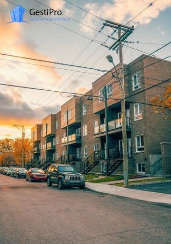 Appartement de 3 chambres à louer à Québec - La Cité-Limoilou — photo 13