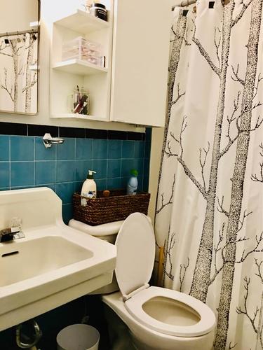 Appartement de 2 chambres à louer à Québec - La Cité-Limoilou — photo 6