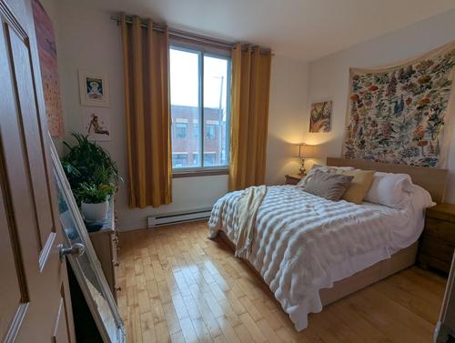 1 bedroom apartment for rent in Montreal - Rosemont–La Petite-Patrie — photo 2