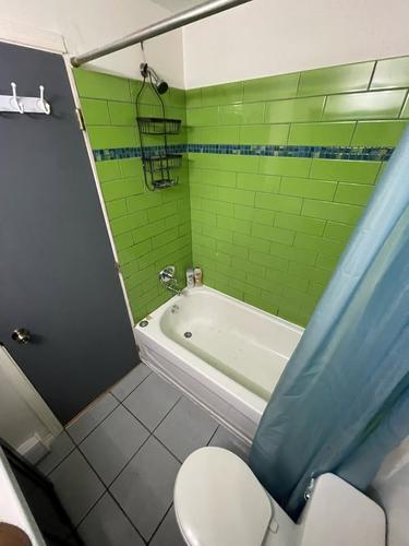 1 bedroom apartment for rent in Montreal - Le Plateau-Mont-Royal — photo 8