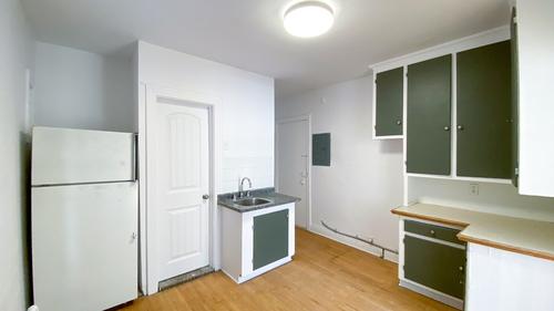 1 bedroom apartment for rent in Montreal - Le Plateau-Mont-Royal — photo 8