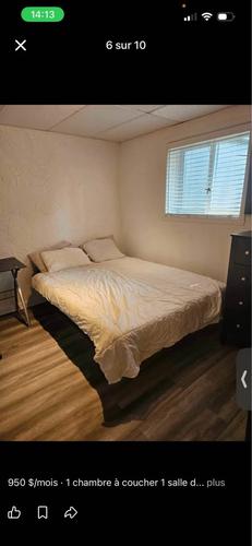 Studio à louer à Québec - Sainte-Foy–Sillery–Cap-Rouge — photo 7