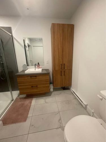Studio for rent in Québec - La Cité-Limoilou — photo 7