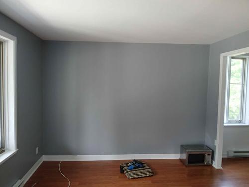 1 bedroom apartment for rent in Lévis — photo 4