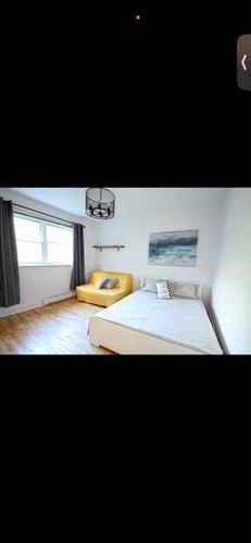 Studio for rent in Québec - La Cité-Limoilou — photo 7