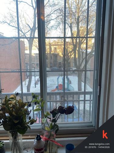 Appartement de 2 chambres à louer à Montreal - Le Plateau-Mont-Royal — photo 11