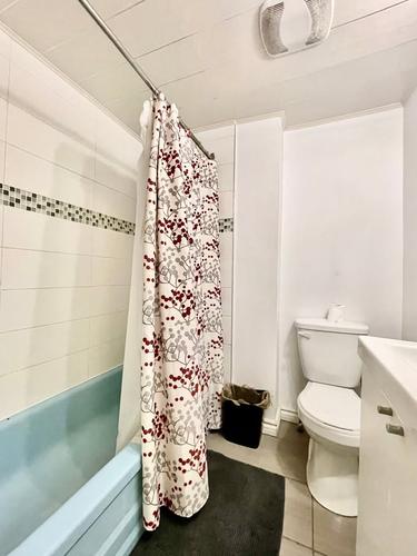 1 bedroom apartment for rent in Montreal - Le Plateau-Mont-Royal — photo 15