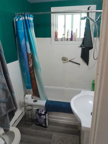 Appartement de 2 chambres à louer à Québec - La Cité-Limoilou — photo 6