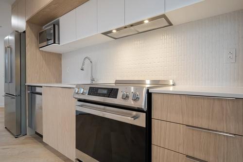 1 bedroom apartment for rent in Montreal - Le Plateau-Mont-Royal — photo 15
