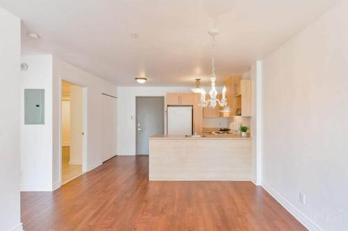 1 bedroom apartment for rent in Laval — photo 4