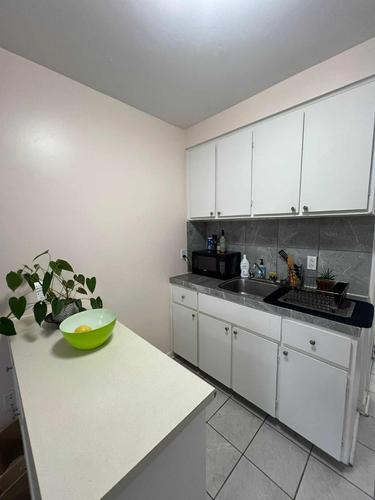 3 bedrooms apartment for rent in Montreal - Le Plateau-Mont-Royal — photo 5