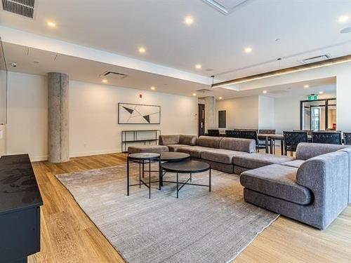 1 bedroom apartment for rent in Montreal - Saint-Laurent — photo 8