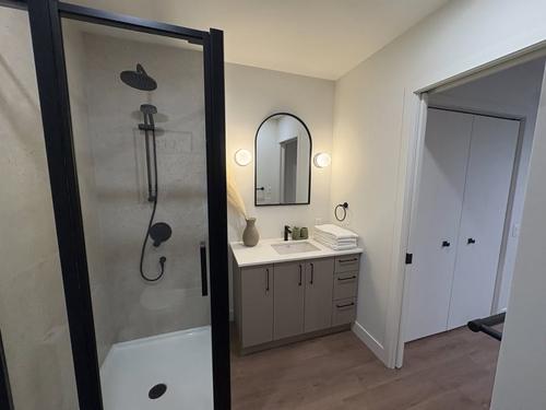 Appartement de 2 chambres à louer à Québec - La Cité-Limoilou — photo 7