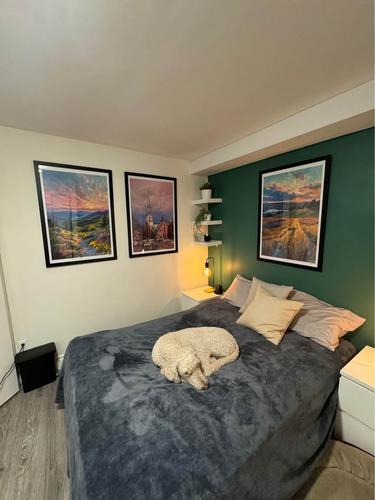 2 bedrooms apartment for rent in Québec - La Cité-Limoilou — photo 9