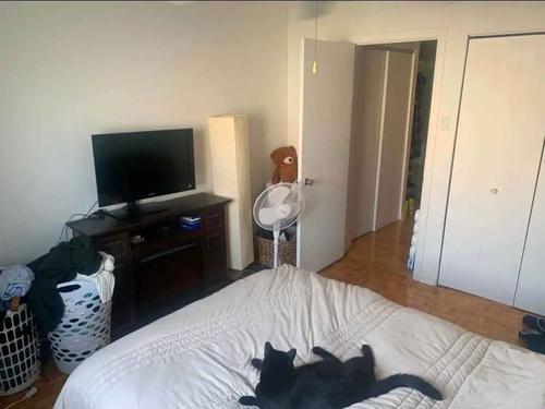 1 bedroom apartment for rent in Longueuil — photo 3