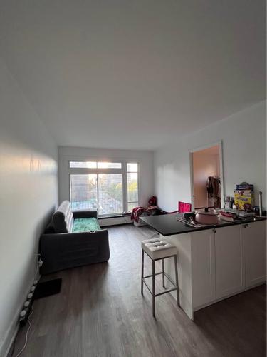 1 bedroom apartment for rent in Montreal - Le Plateau-Mont-Royal — photo 2