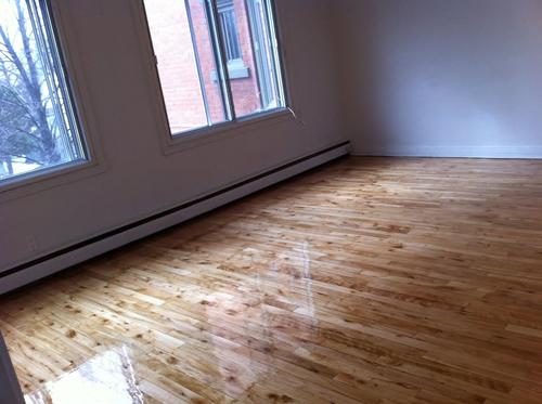 Studio for rent in Longueuil — photo 2