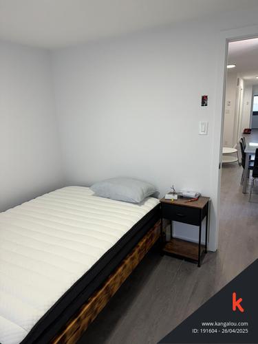 Appartement de 5 chambres à louer à Montreal - Le Plateau-Mont-Royal — photo 3