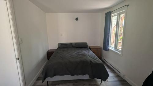 Appartement de 2 chambres à louer à Québec - La Cité-Limoilou — photo 13