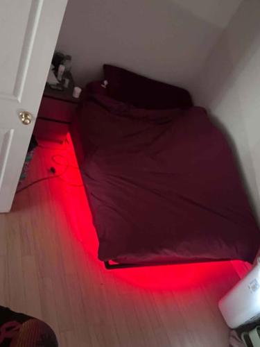 Appartement de 2 chambres à louer à Québec - Beauport — photo 11
